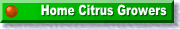 To site home page